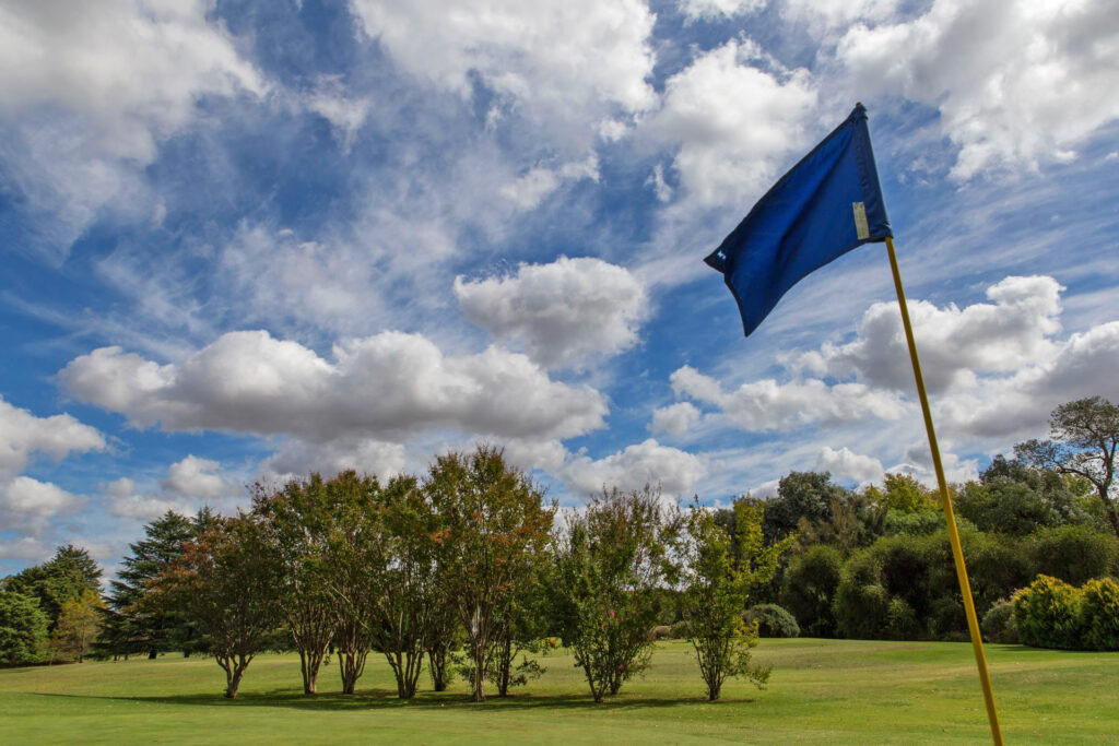 1534027101_praderaslujan-praderas-lujan-comar53