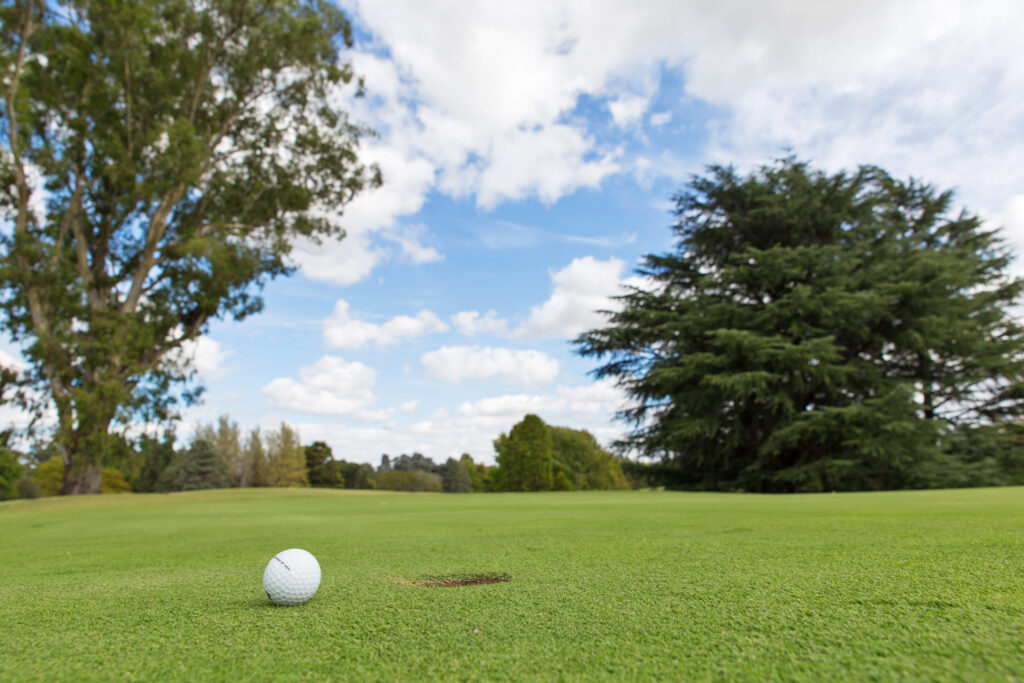 1534027104_praderaslujan-praderas-lujan-comar56